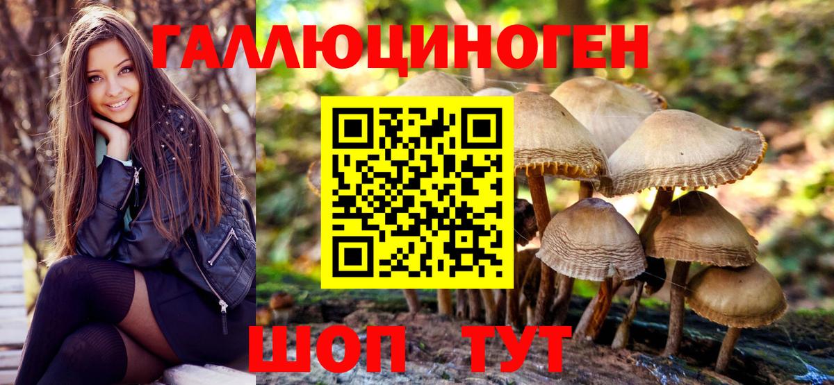 Псилоцибиновые грибы ЛСД Татарск